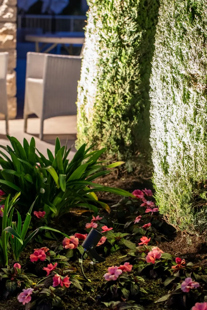 Restaurant with Garden - Welcoming Light Atmospheres